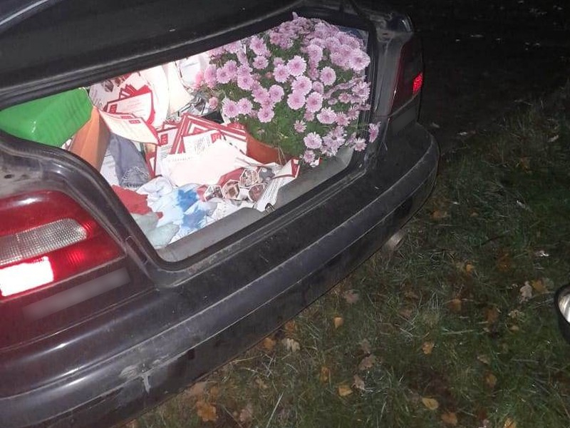Bagażnik samochodu z kwiatami doniczkowymi