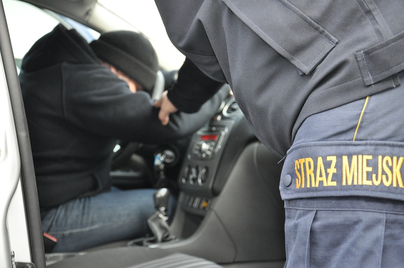 Zdjęcie ilustracyjne: strażnik miejski trzymający za ramię opartego o kierownicę mężczyznę w samochodzie.