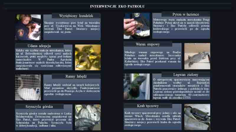 2016 09 3. interwencje Eko Patrolu wybrane