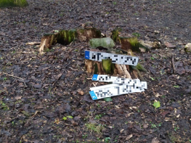 Zdjęcie z interwencji: leżące na ściółce leśnej tablice rejestracyjne samochodów. Jedna z nich oparta jest o ścięty pieniek.